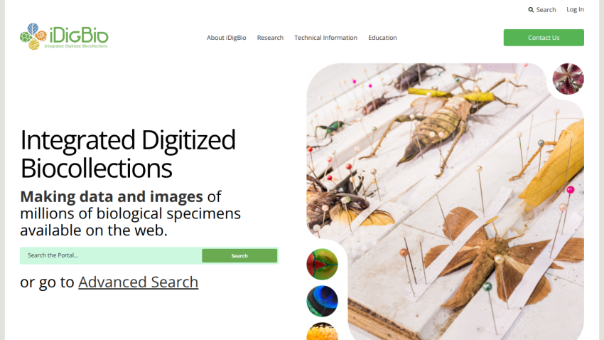 Integrated Digitized Biocollections homepage with search bar and pinned biological specimen images