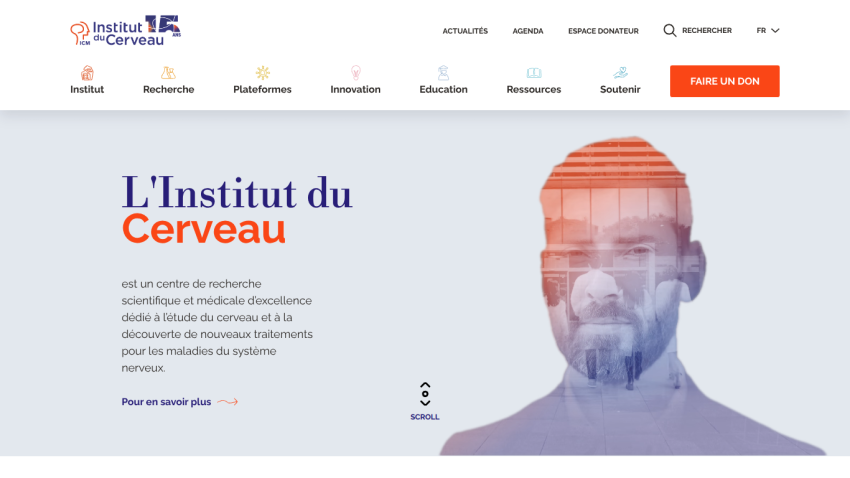 Institut du Cerveau homepage with research center description and navigation menu in French