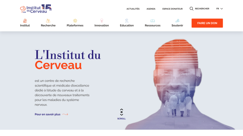 Institut du Cerveau homepage with navigation and hero text about brain research and treatments