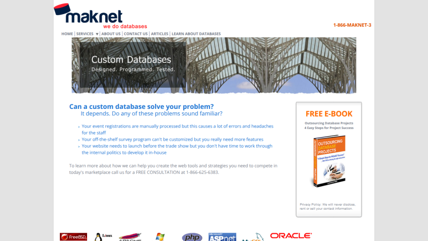 Maknet website offering custom database solutions with consultation contact and free e-book offer