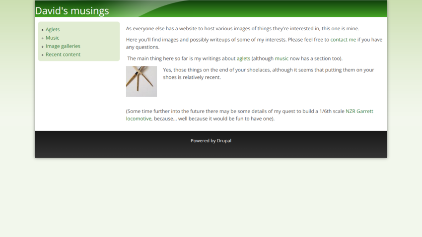 David's musings website with navigation links and introductory text about interests including aglets and music, plus a small image of shoelace tips.