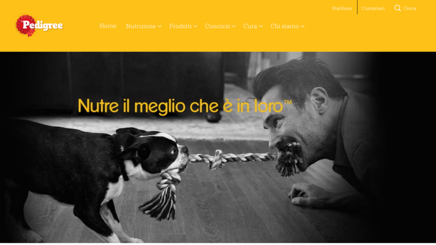 Pedigree website header and navigation with hero image of man and dog playing tug of war and text Nutre il meglio che è in loro