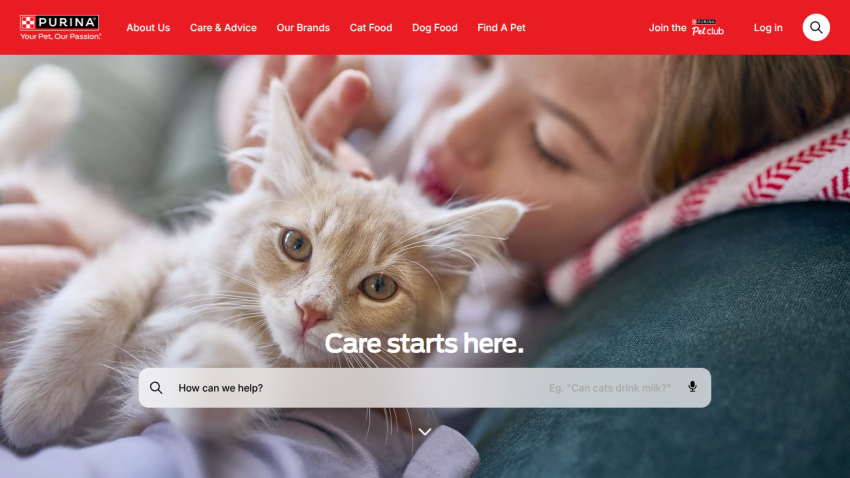 Pet adoption website homepage with a woman holding a cat and a search bar to find pets by type and location