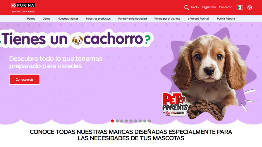 Promotional banner for pet products featuring a puppy and a call to action.