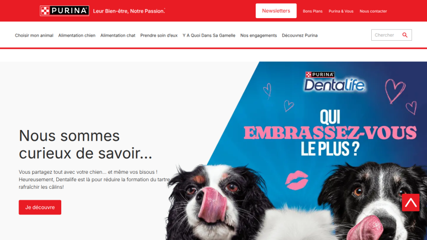 Purina Dentalife promotion with two dogs licking their noses and text about sharing kisses with your dog and tartar reduction.