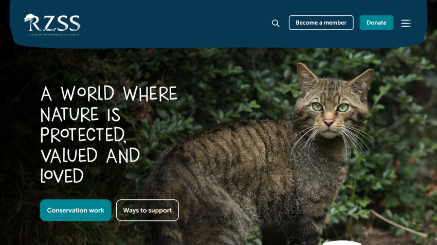 Wildlife conservation charity homepage with a cat in nature and text about protecting nature