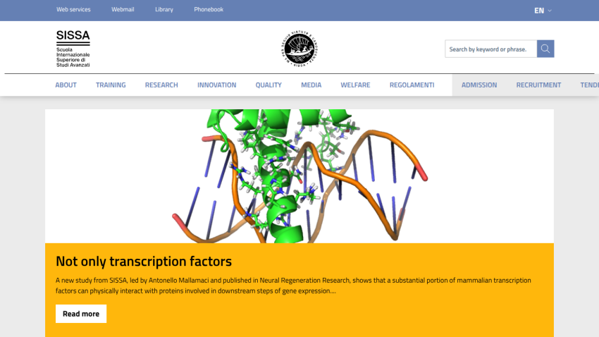 Research study on transcription factors with a DNA graphic and summary text.