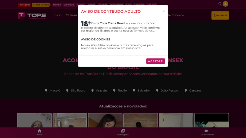 topstransbrasil.com.br