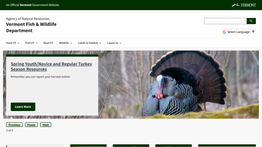 Vermont Fish & Wildlife Department homepage with navigation and spring turkey season resources