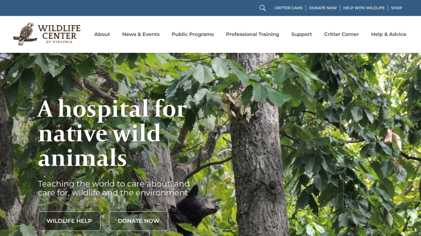 Wildlife Center of Virginia homepage with a bear climbing a tree and text about caring for native wild animals