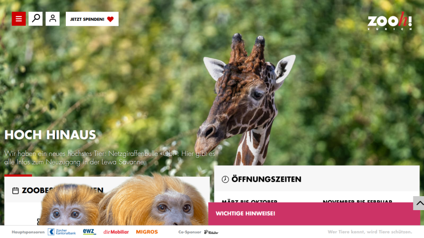 Zoo website header with navigation, a giraffe in the hero image, and sections for zoo animals and opening hours