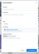 Screenshot of Website Feedback form