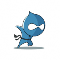 thedrupalkid