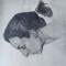 shya-ink Profile Image