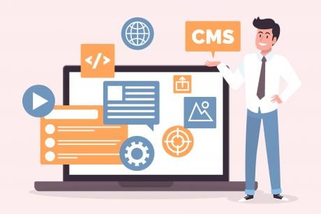 Illustration representing Custom Module Development for a Web CMS