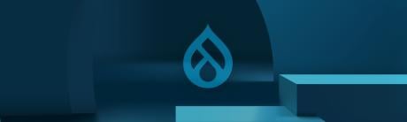 Drupal Initiatives Banner