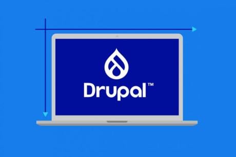 The term Drupal and its logo