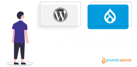 A person looking at WordPress and Drupal logos