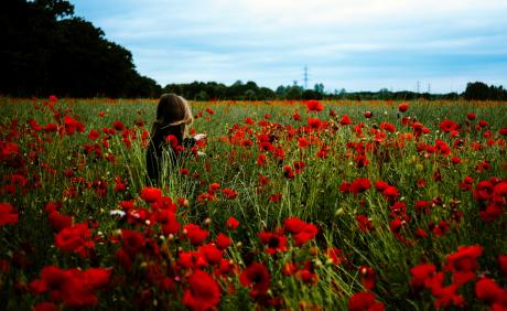 a girl in a poppy field