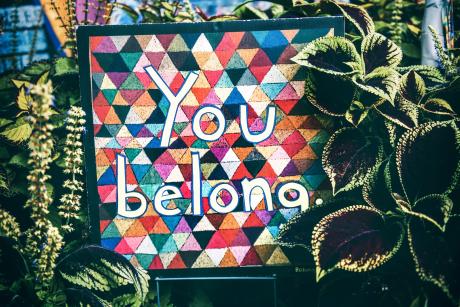 A board that says you belong amidst plants