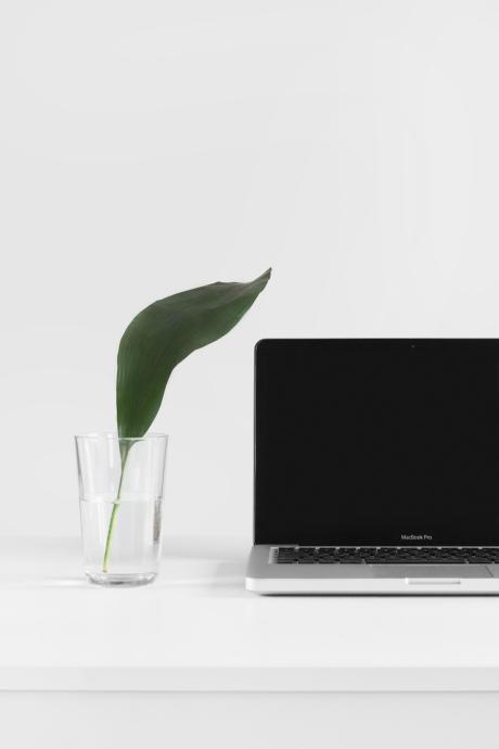 a laptop and a plant