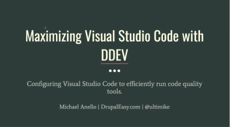 Maximising Visual Code Studio with DDEV