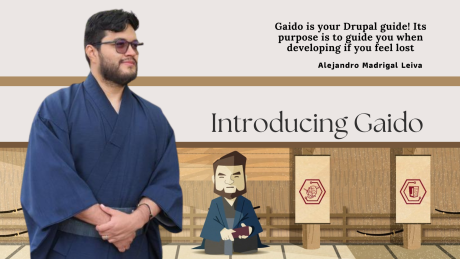 Introducing Gaido