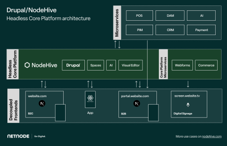 NodeHive headless CMS core platform architecture