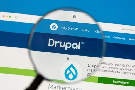drupal.org image