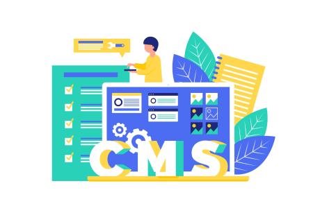 Web Development CMS illustration
