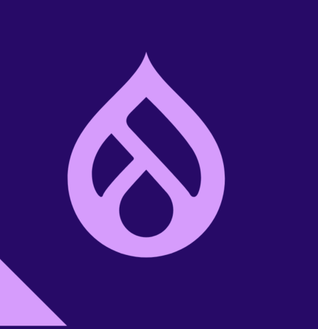 drupal-brisbane-meetup-13-aug-2024 Logo