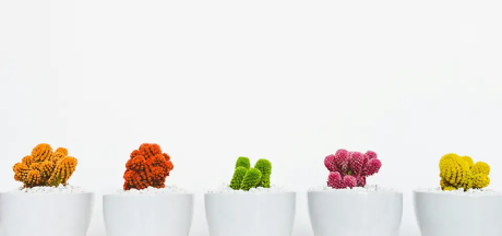 varied colored crocheted cacti in pots