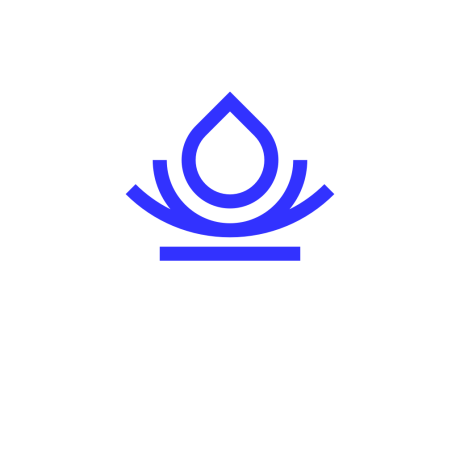 the-dutch-splash-awards Logo