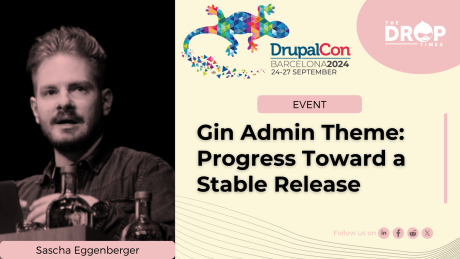 Gin Admin Theme Progress Toward a Stable Release 