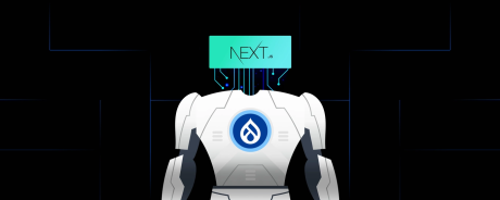 Next js. Headless Illustration