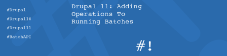 Drupal 11: Adding Operations To Running Batches