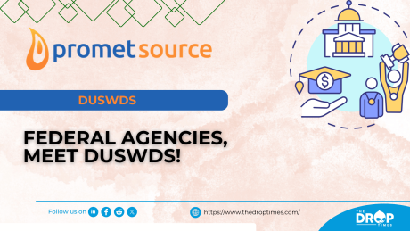 Federal Agencies, Meet DUSWDS!