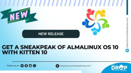 aLMALINUX KITTEN 10