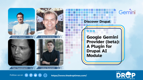 Google Gemini Provider (beta): A Plugin for Drupal AI  Module