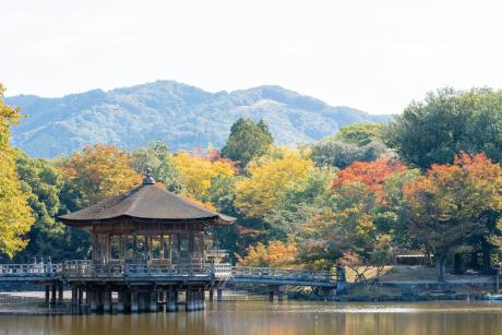 Nara