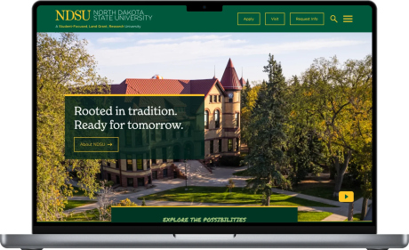 NSDU homepage