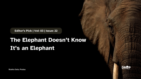 The Elephant Doesn’t Know  It’s an Elephant