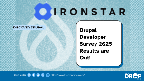 Drupal Developer Survey 2025 Results are Out!
