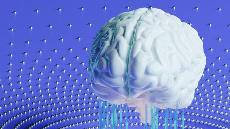 illustration of human brain and neural network