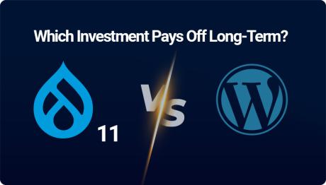 D11 Upgrade vs WordPress Switch: Which Investment Pays Off Long-Term?