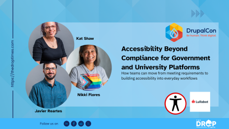 Accessibility Beyond Compliance for Government and University Platforms