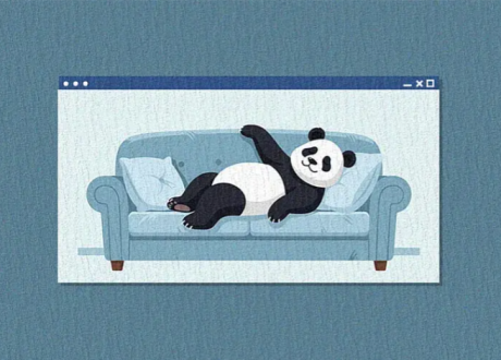 panda sleeping on the couch