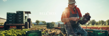 Image from BelOrta Website 