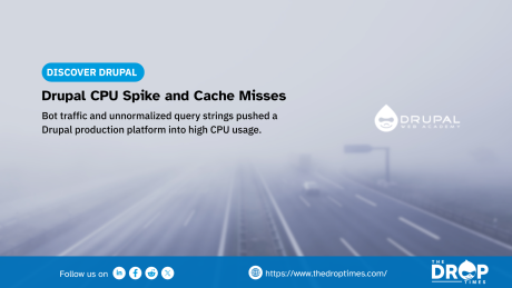 Poster for Blog Post on Drupal Performance Optimization 