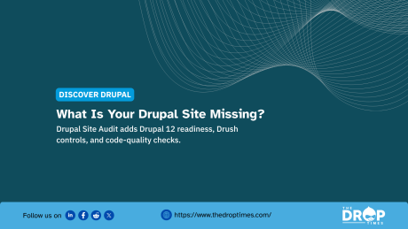 Drupal Site Audit dashboard-style graphic highlighting checks for updates, caching, security settings, code quality, and maintenance risks.